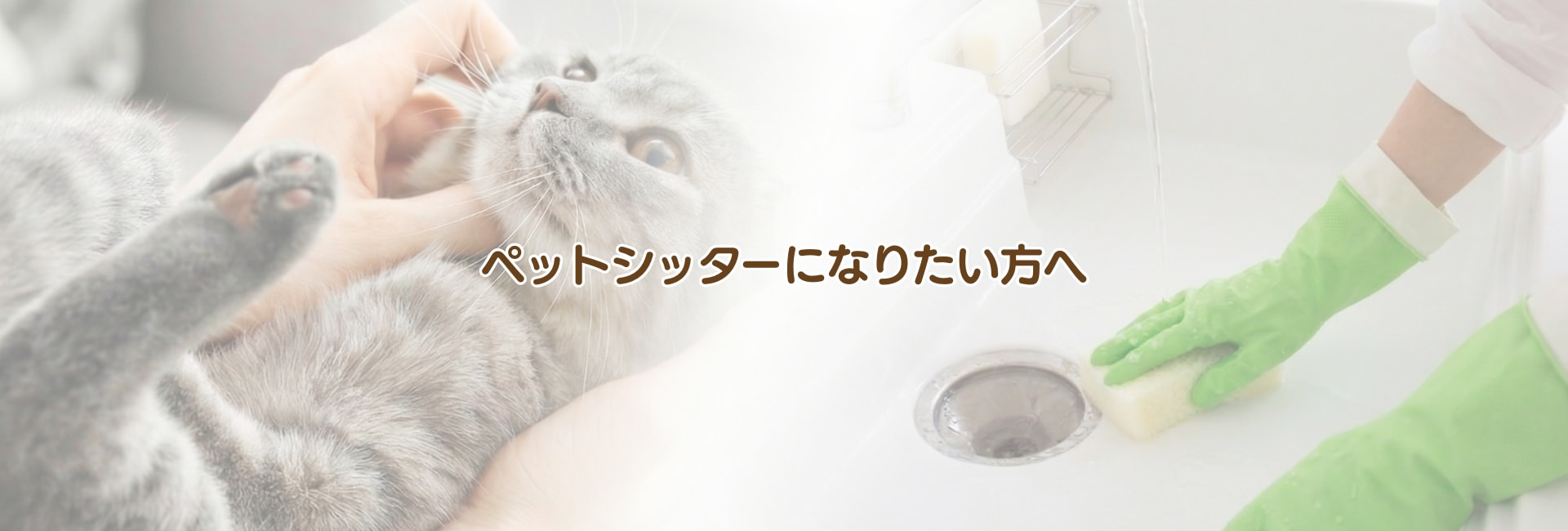 ペットシッターになりたい方へ
