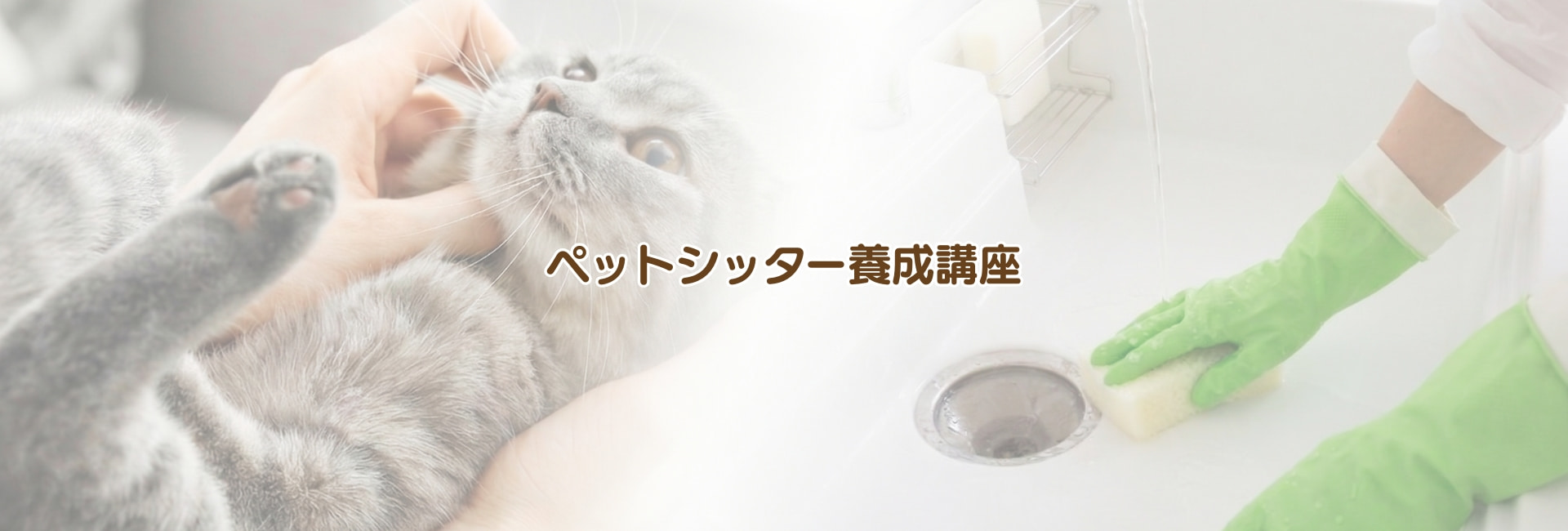 ペットシッター養成講座