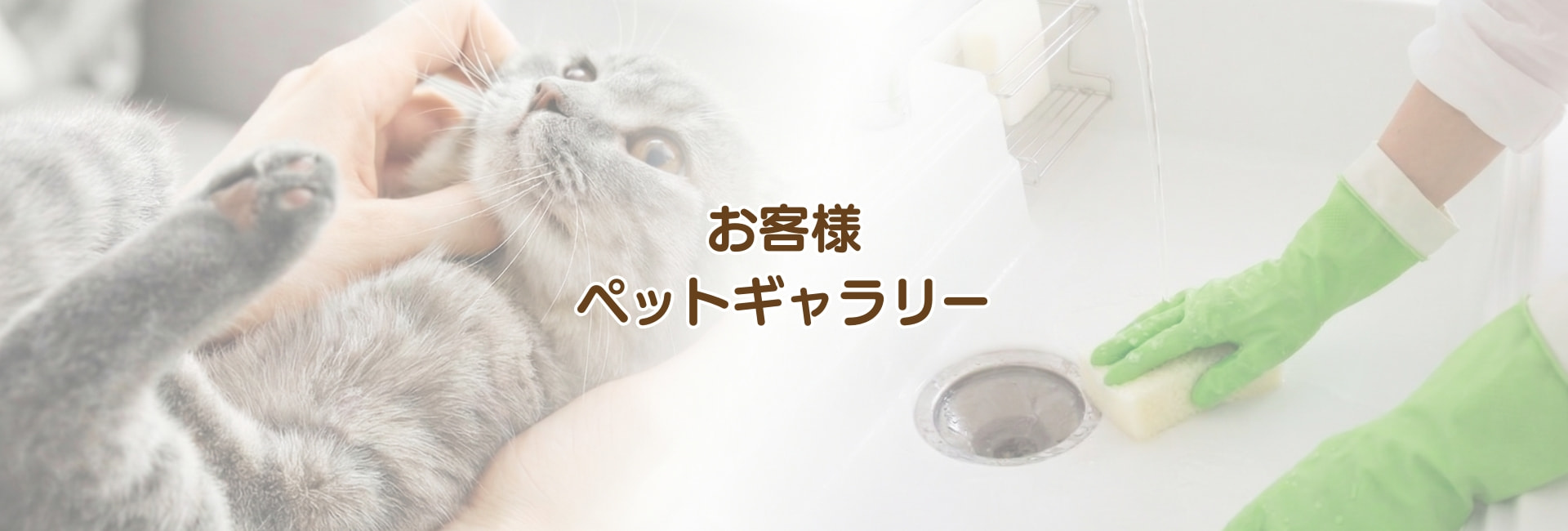 お客様ペットギャラリー